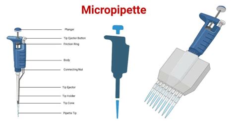 jiaan micro pipette manual|pipetman micropipette instructions.